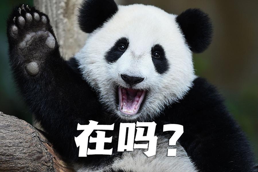 【世界微笑日特刊】嘿嘿，今天你笑了嗎？